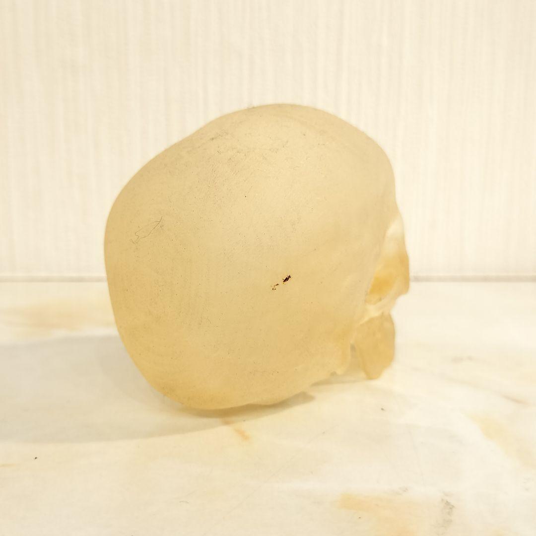 骸骨 置物 オブジェ
