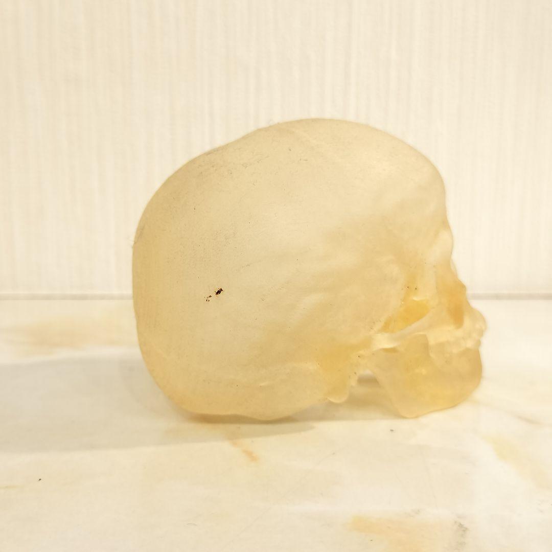 骸骨 置物 オブジェ