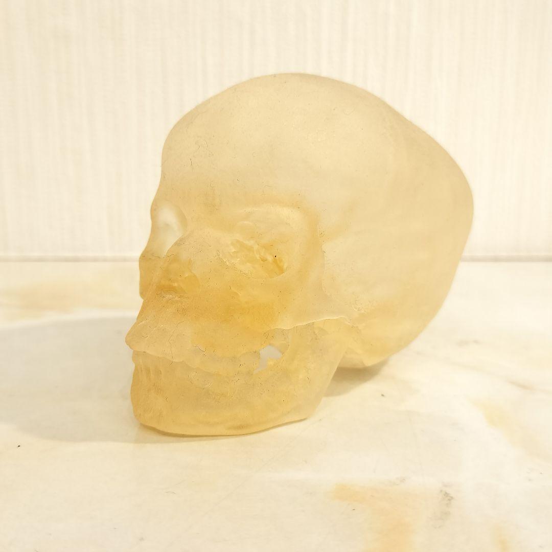 骸骨 置物 オブジェ