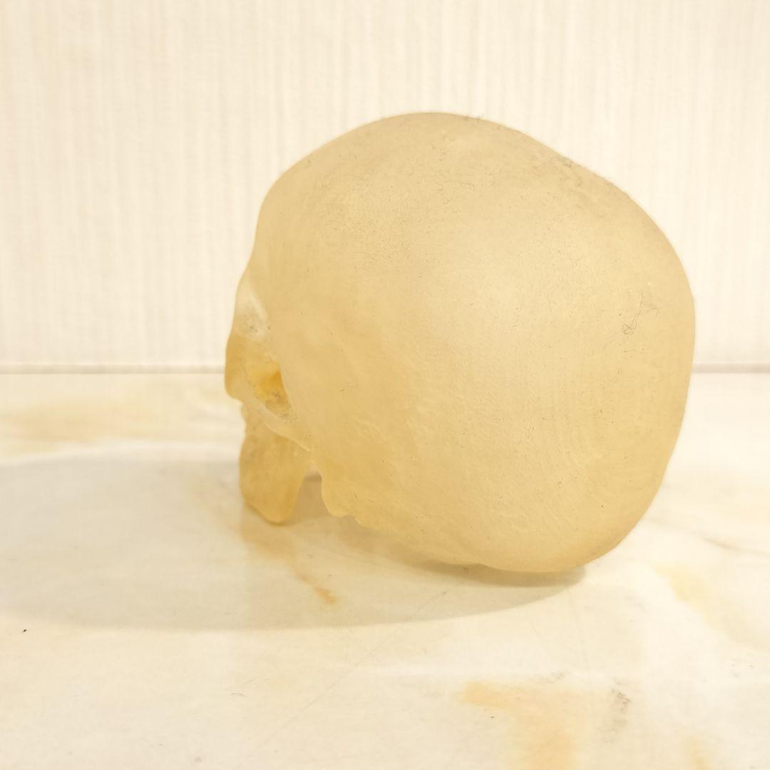 骸骨 置物 オブジェ