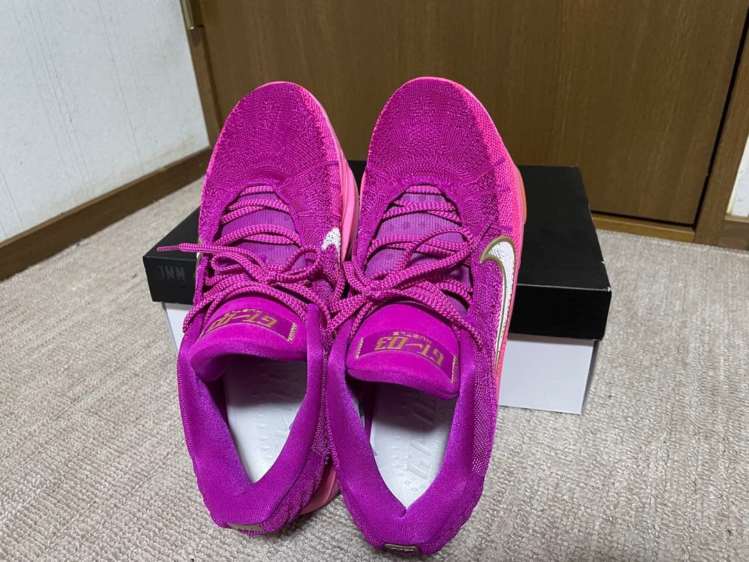 ナイキ　GTハッスル3 FV5952-601 28cm NIKE