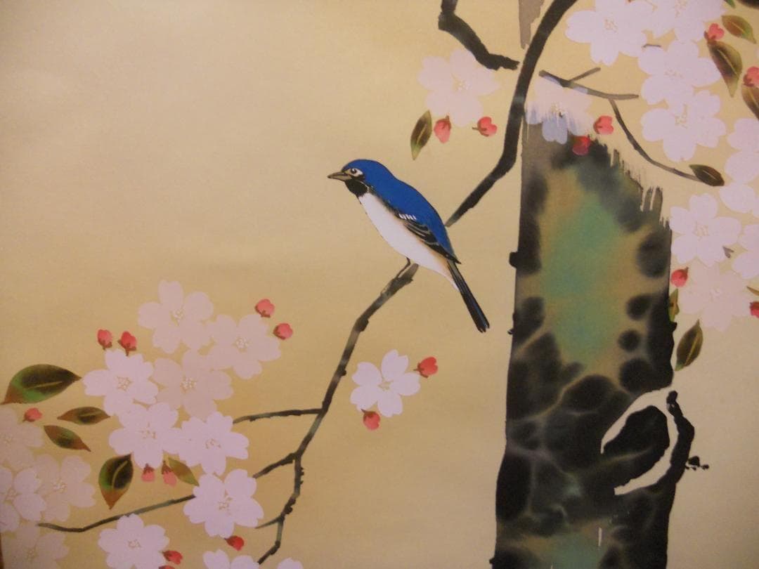 掛け軸 小川大鳳 作『 桜に瑠璃鳥 ルリチョウ 』絹本 希少 茶道具 掛軸 美品