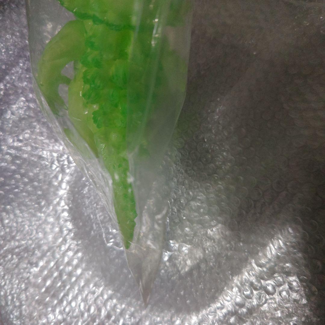ランジアス　ソフビ　緑　20cm　未開封