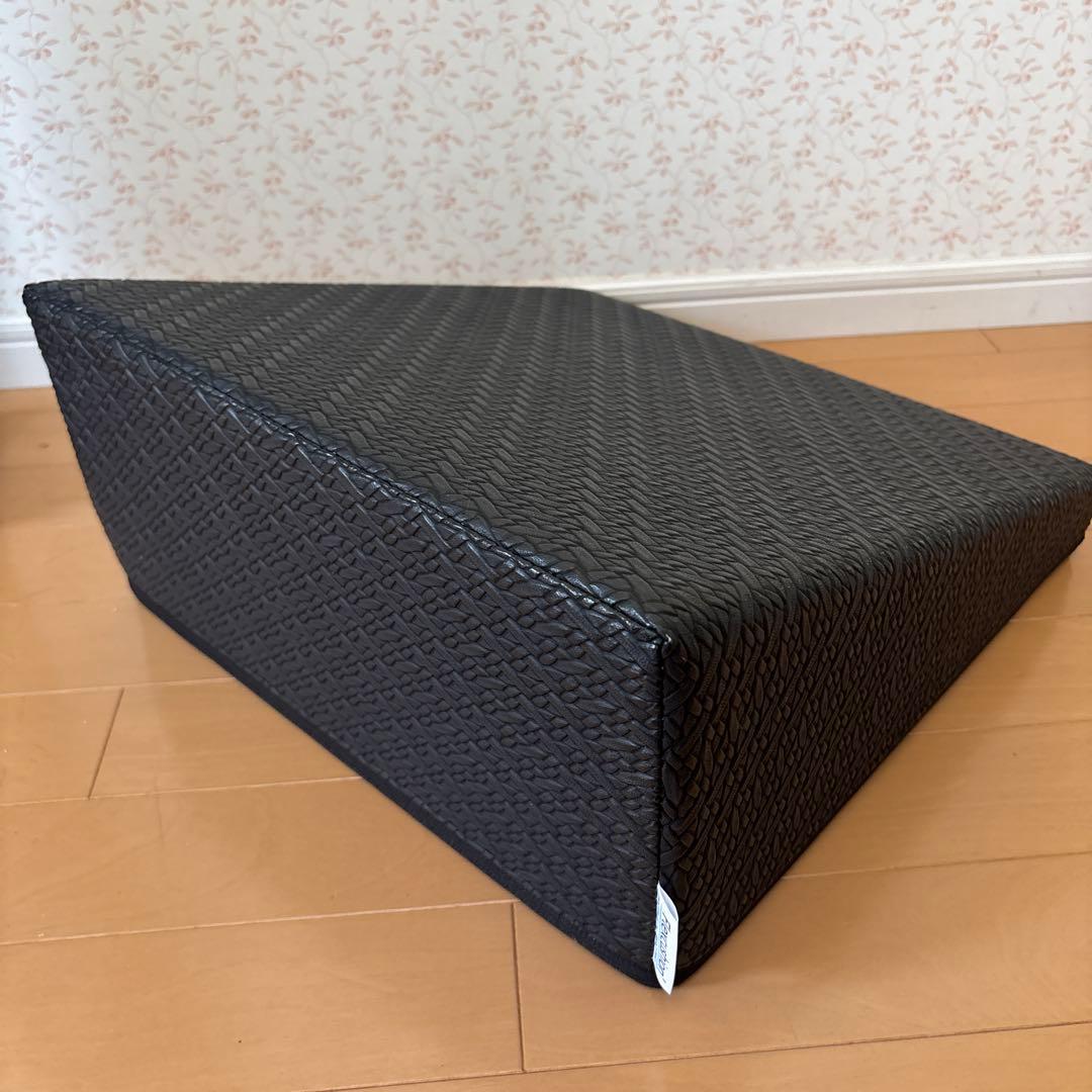 サンテプラス　フレックスクッション(本体のみ)