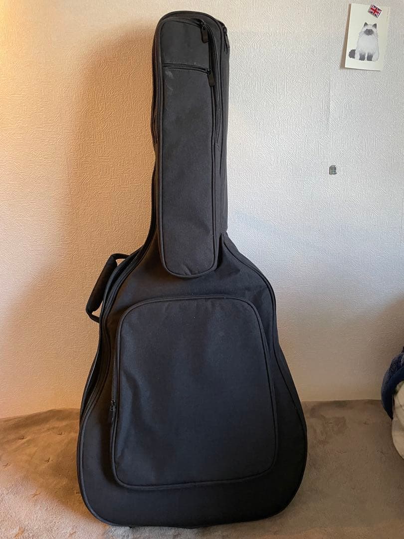 Epiphone Masterbilt J200 ケース付き