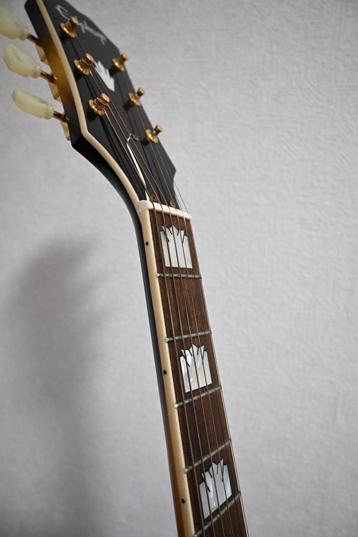 Epiphone Masterbilt J200 ケース付き