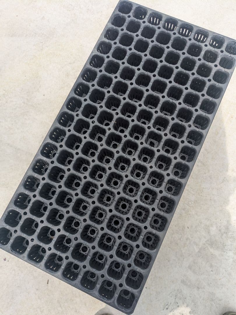 育苗トレイ ブラック プラスチック 10個　阪中