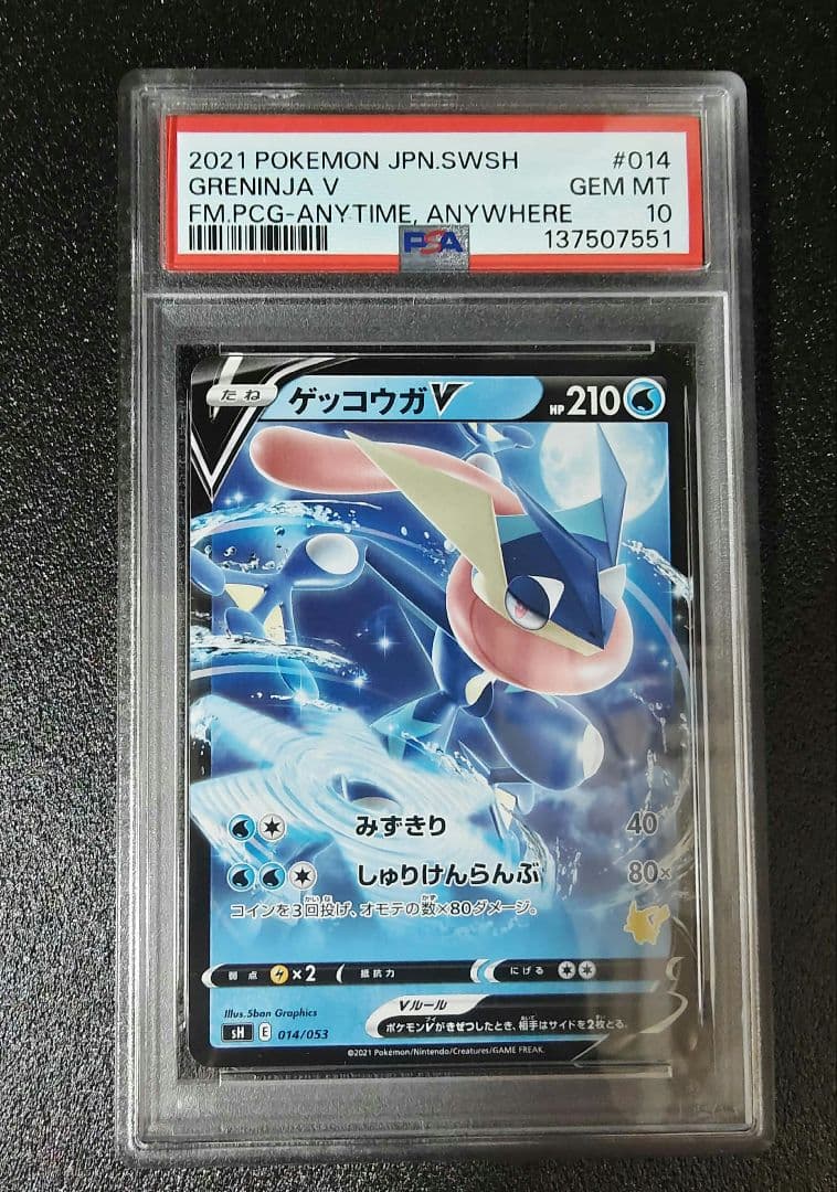 エースバーン V ＆ゲッコウガ V PSA10