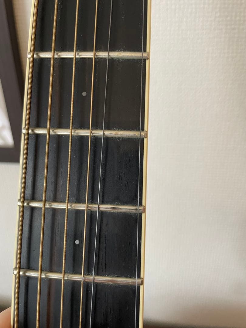 Larrivee D-03 アコースティックギター　ハードケース付