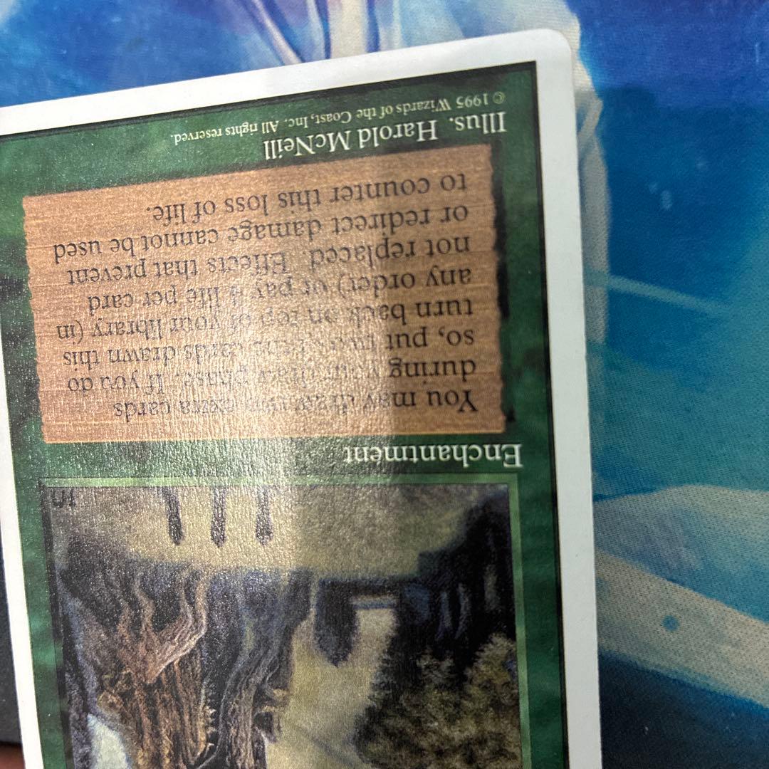 MTG アルターネイト版】《森の知恵/Sylvan Library 4ED EN