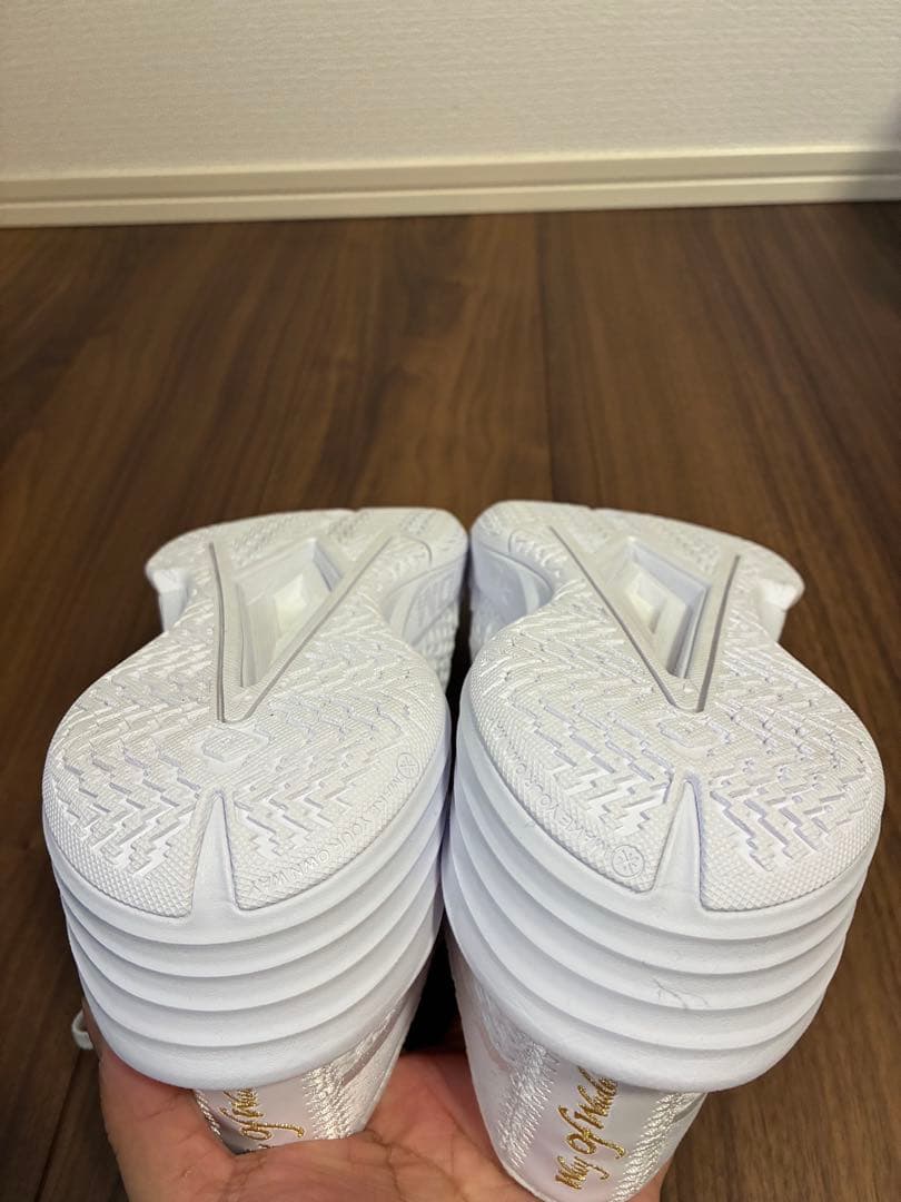 Wade Flash 2「白熱」 バッシュ バスケ