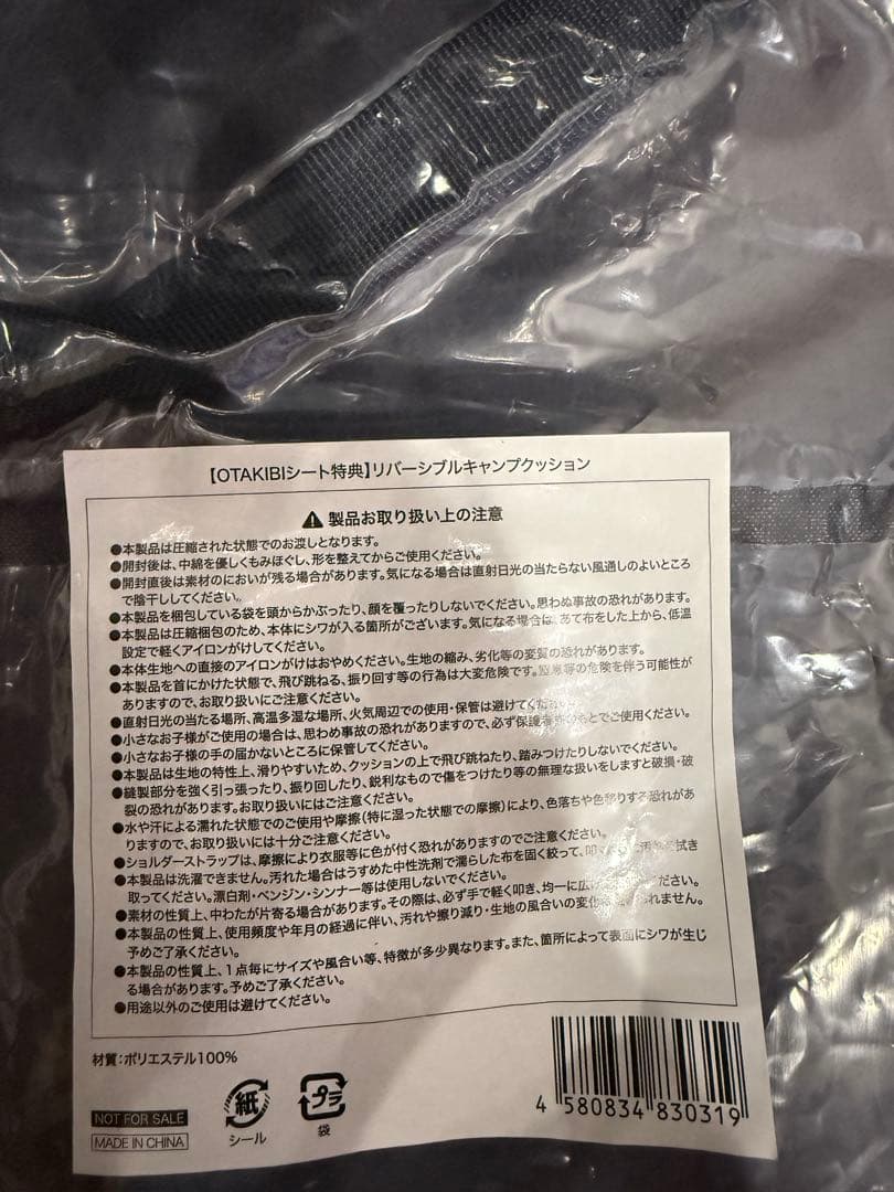 【非売品】ケツメイシ　リバーシブルキャンプクッション 2個セッ