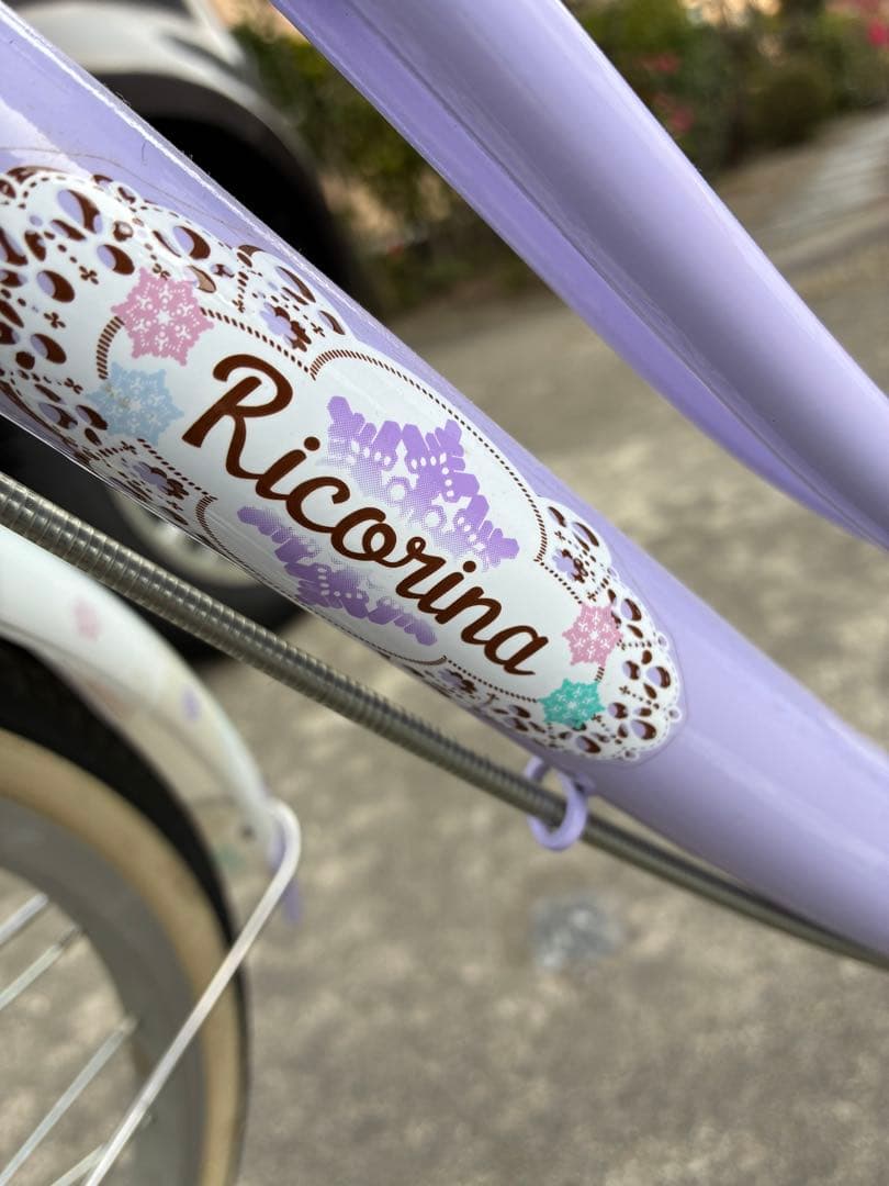 子供用自転車　22インチ　ブリヂストン