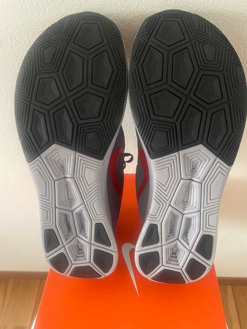 NIKE ズーム　フライ　880488 004