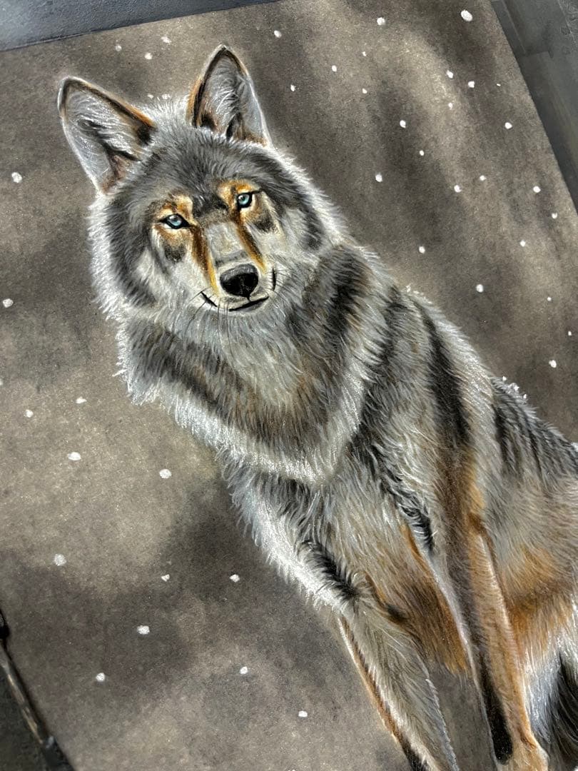 奇跡の狼　色鉛筆画