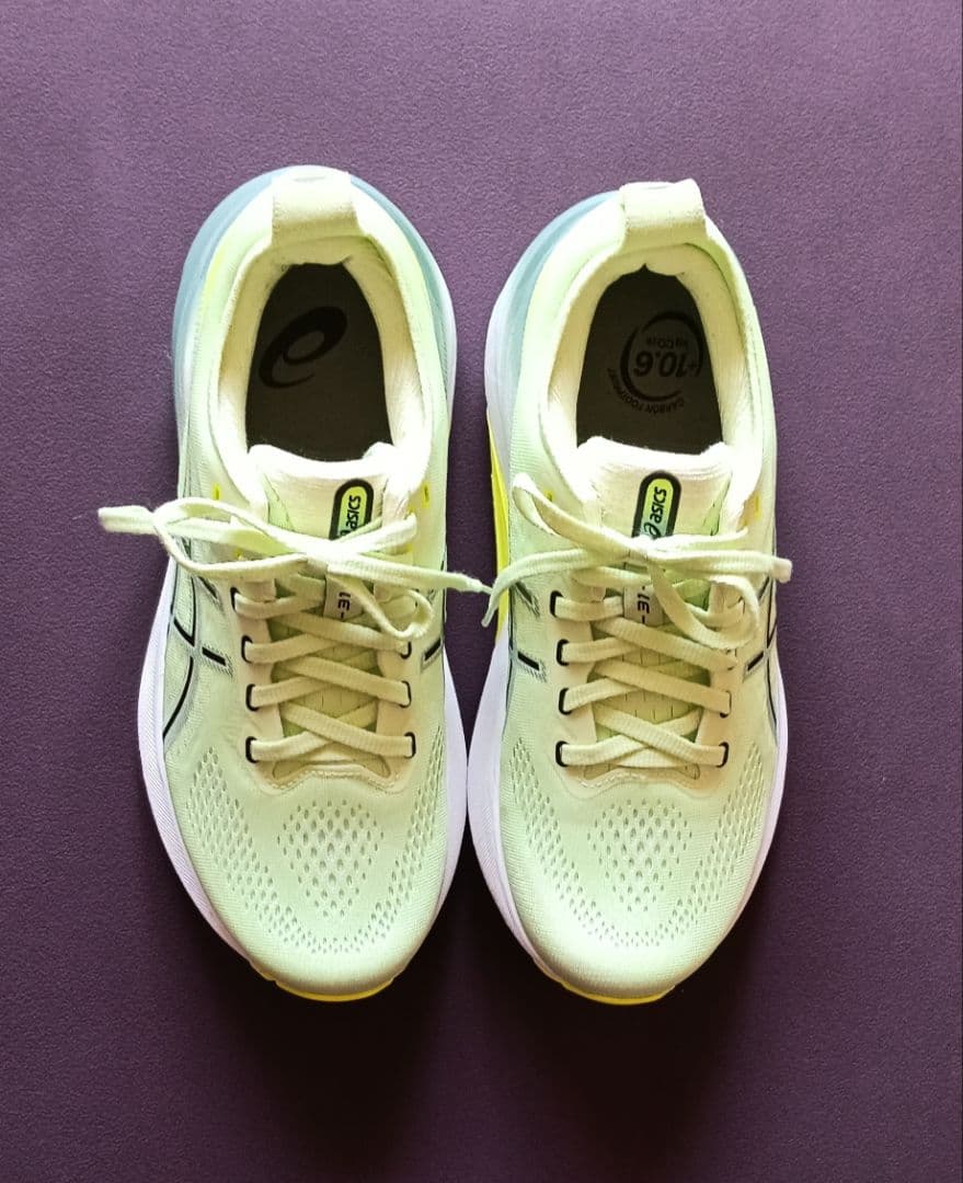 アシックス asics ゲルカヤノ 31 GEL-KAYANO 31 25cm