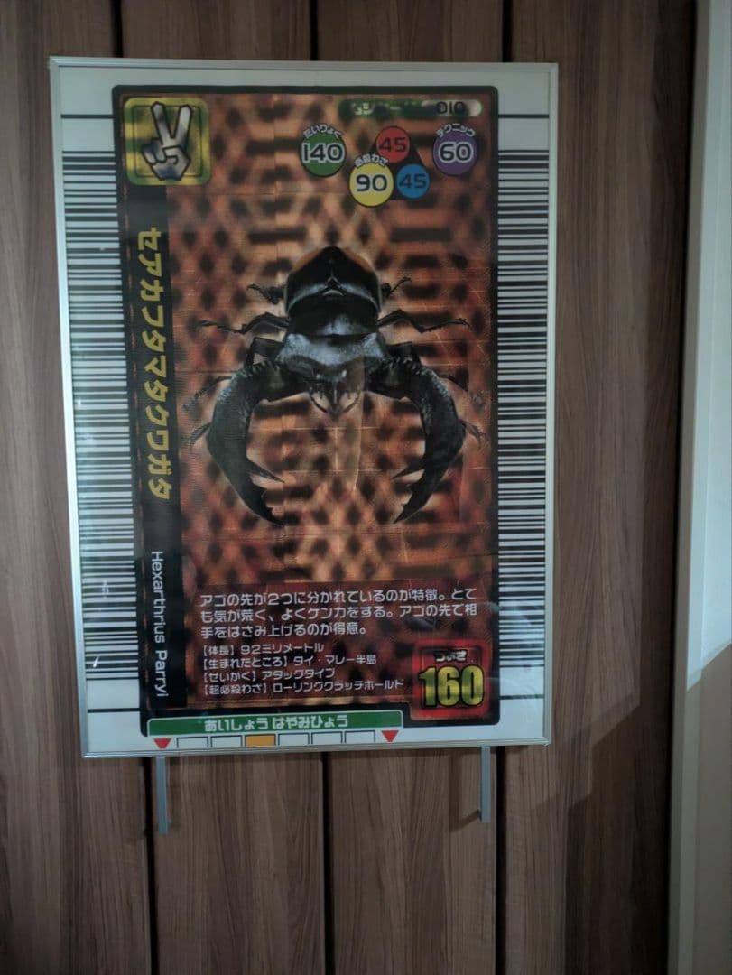 ムシキング　大会優勝記念ポスター 「セアカフタマタクワガタ」（大）