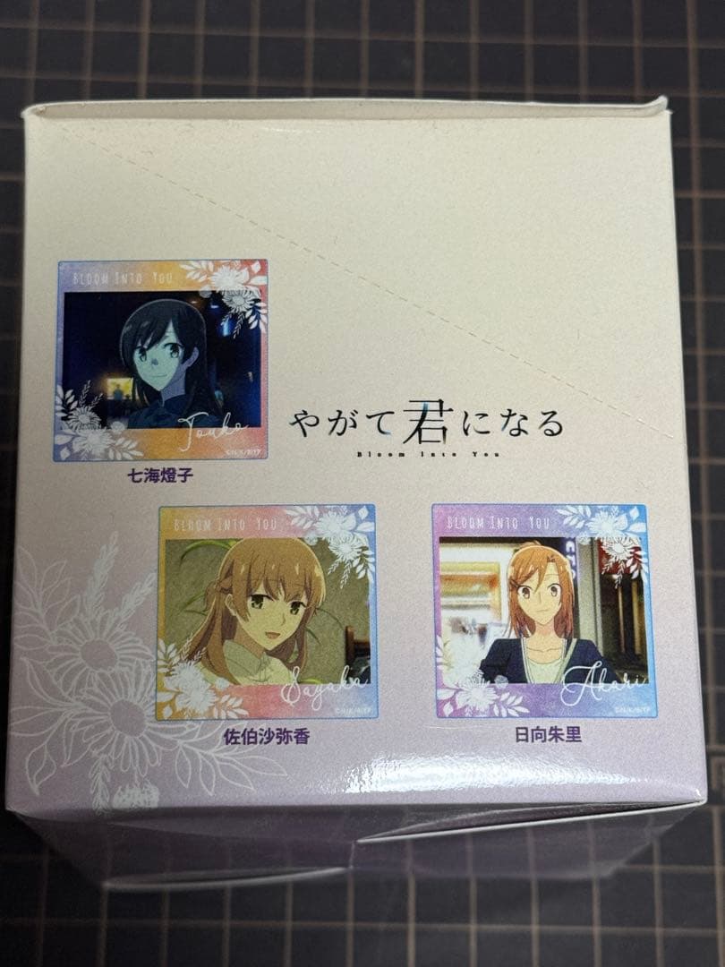 【仲谷鳰】やがて君になる トレーディングアクリルコースター 7種セット