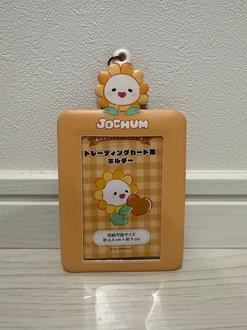 Jochum ライオン トレーディングカードホルダーセット