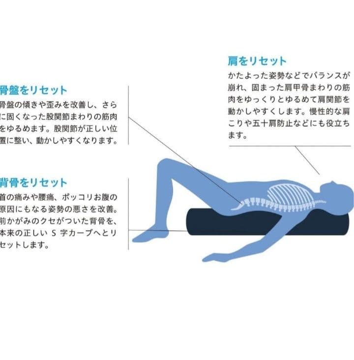 LPN ストレッチポール EX ネイビー 正規品 StretchPole