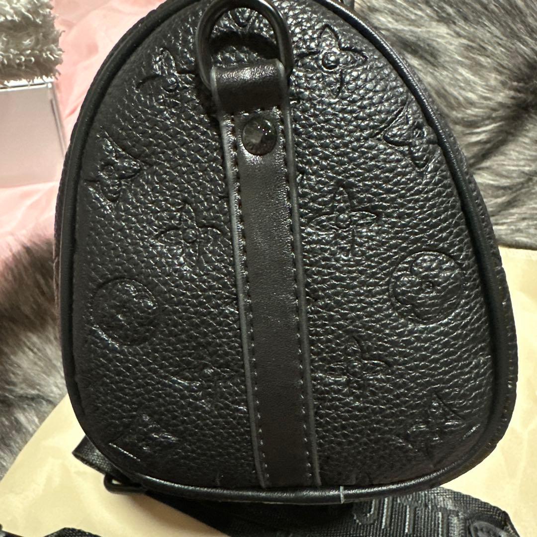コレクション LV NOVELTY BAG NOT FOR SALE
