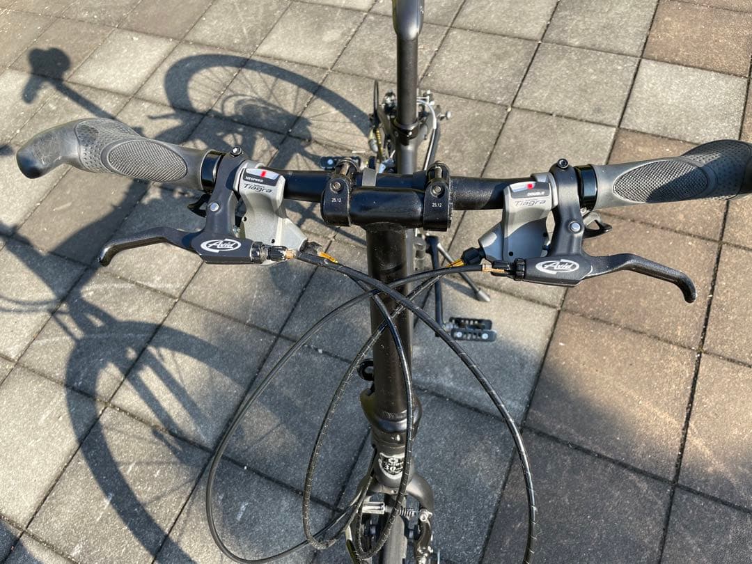 DAHON VISC. P20　Matt Black Limited