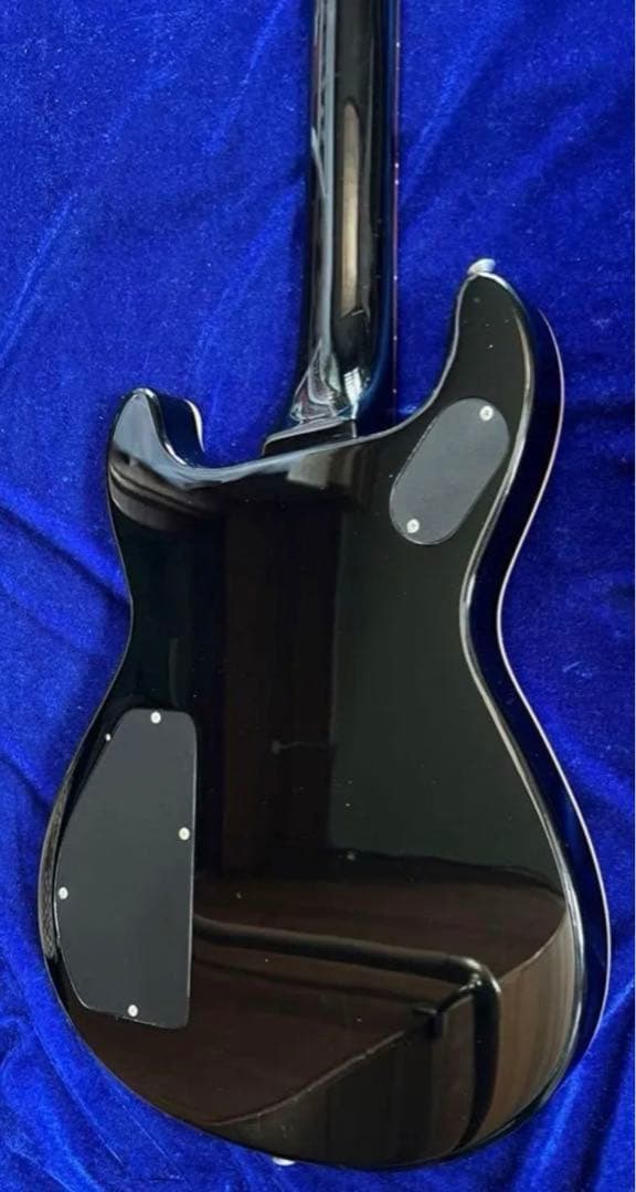 【Fernandes】エレキギター APG series 限定品
