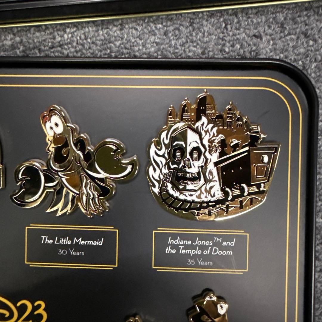 d23ディズニーファンクラブ 10周年 ピンバッジセット