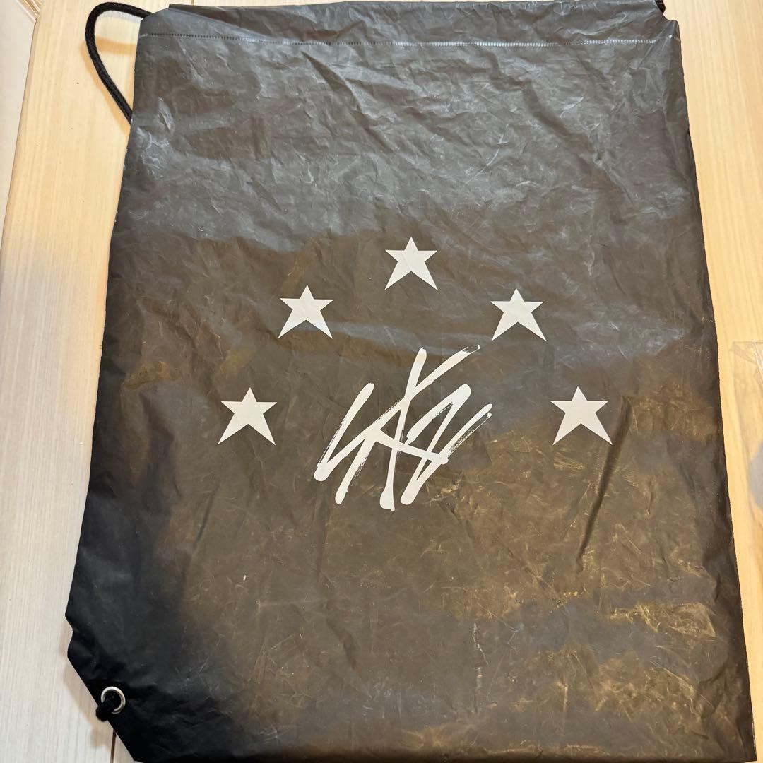 STRAY KIDS DOMINATE アプグレ特典　グッズ　新品未使用　スキズ