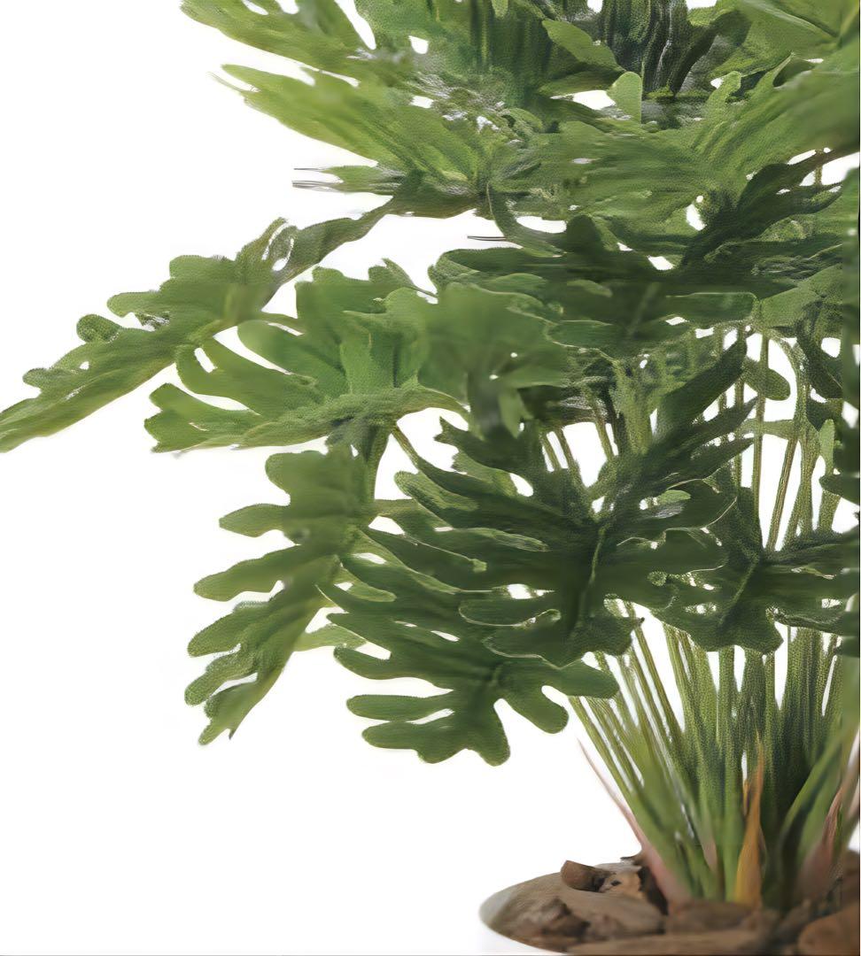 光触媒　人工観葉植物　ウォールグリーン　フェイクグリーン　フレッシュクッカバラm