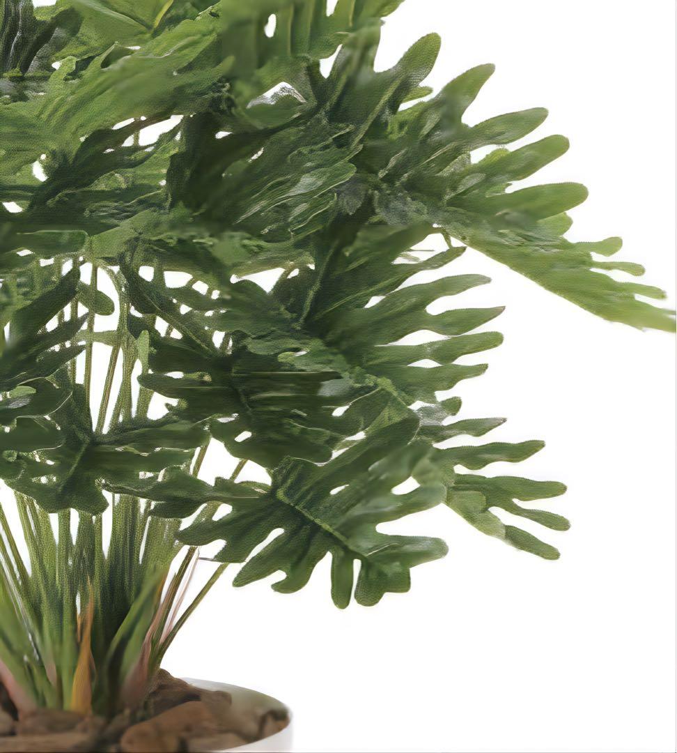 光触媒　人工観葉植物　ウォールグリーン　フェイクグリーン　フレッシュクッカバラm