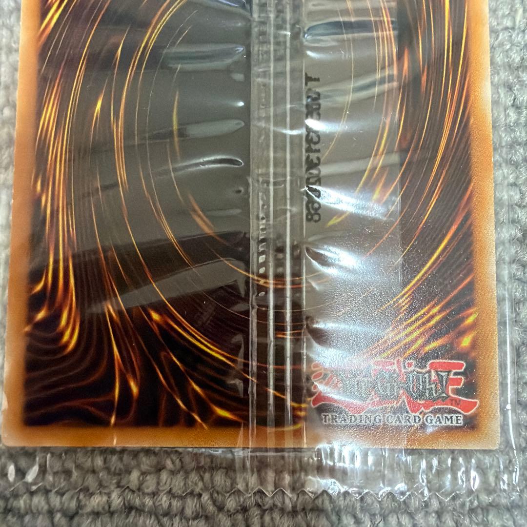 新品 未開封 遊戯王 ガーデン・ローズ・メイデン　ドイツ語