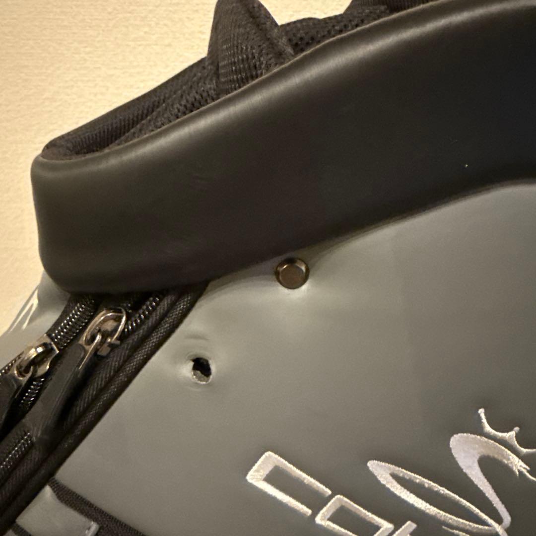 【値下受付中】Cobra Rickie Fowler ゴルフバッグ