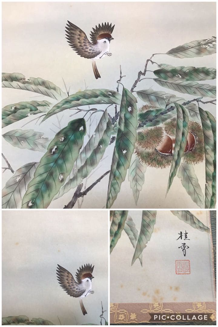 滝桂雪 掛け軸