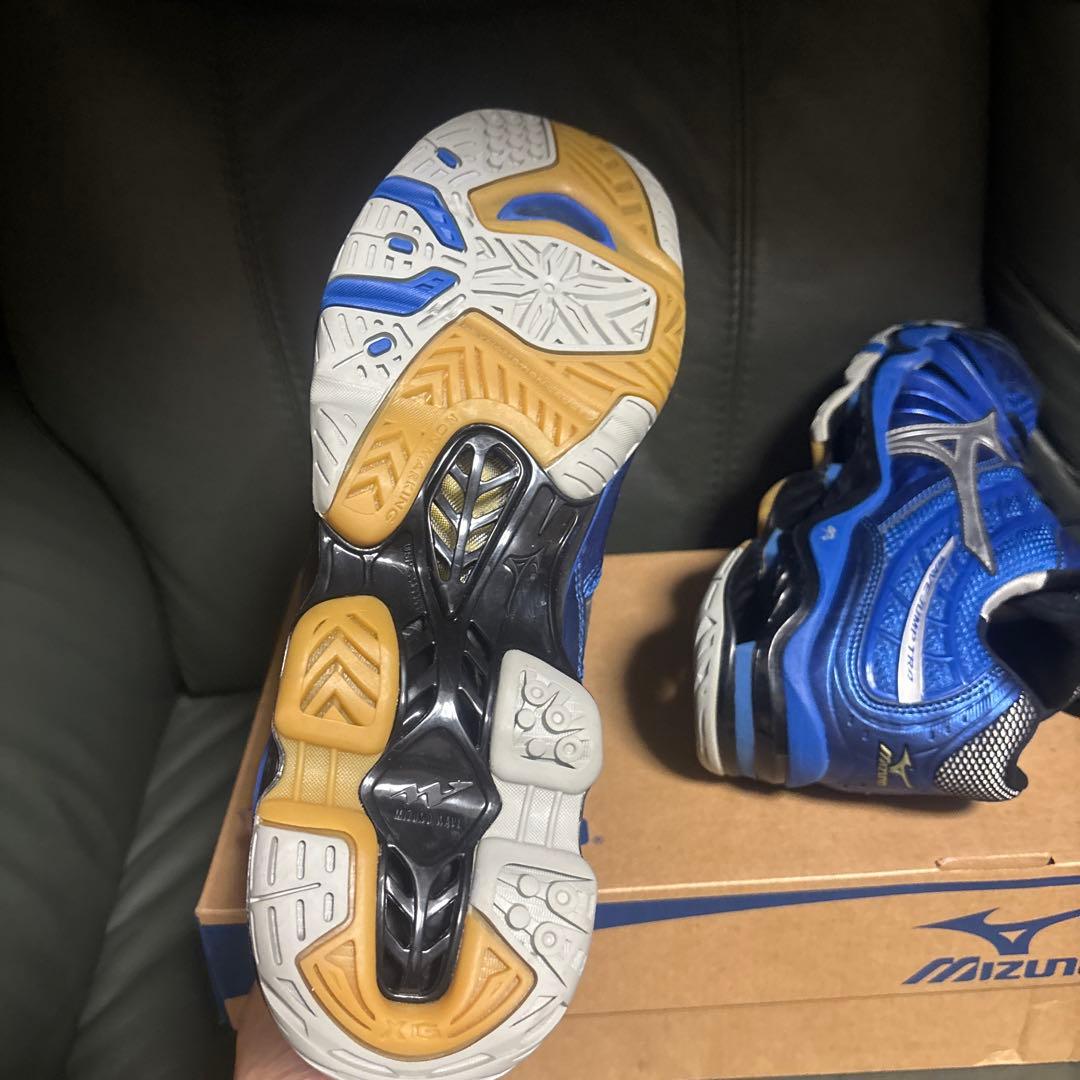 ミズノ mizuno バレーボールシューズ WAVE JUMP TR4LO 29