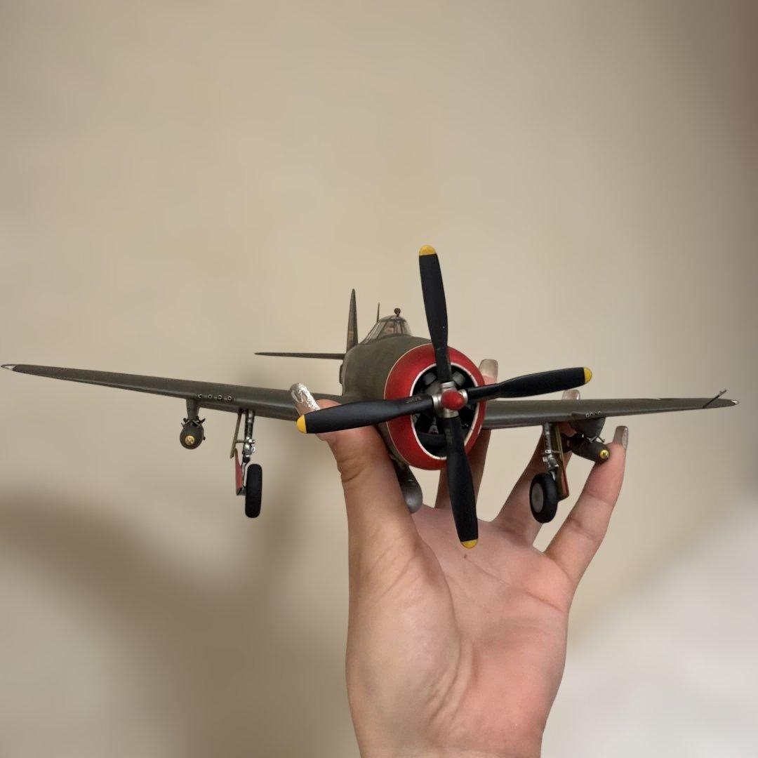 P-47 Thunderbolt 模型　ケース付き