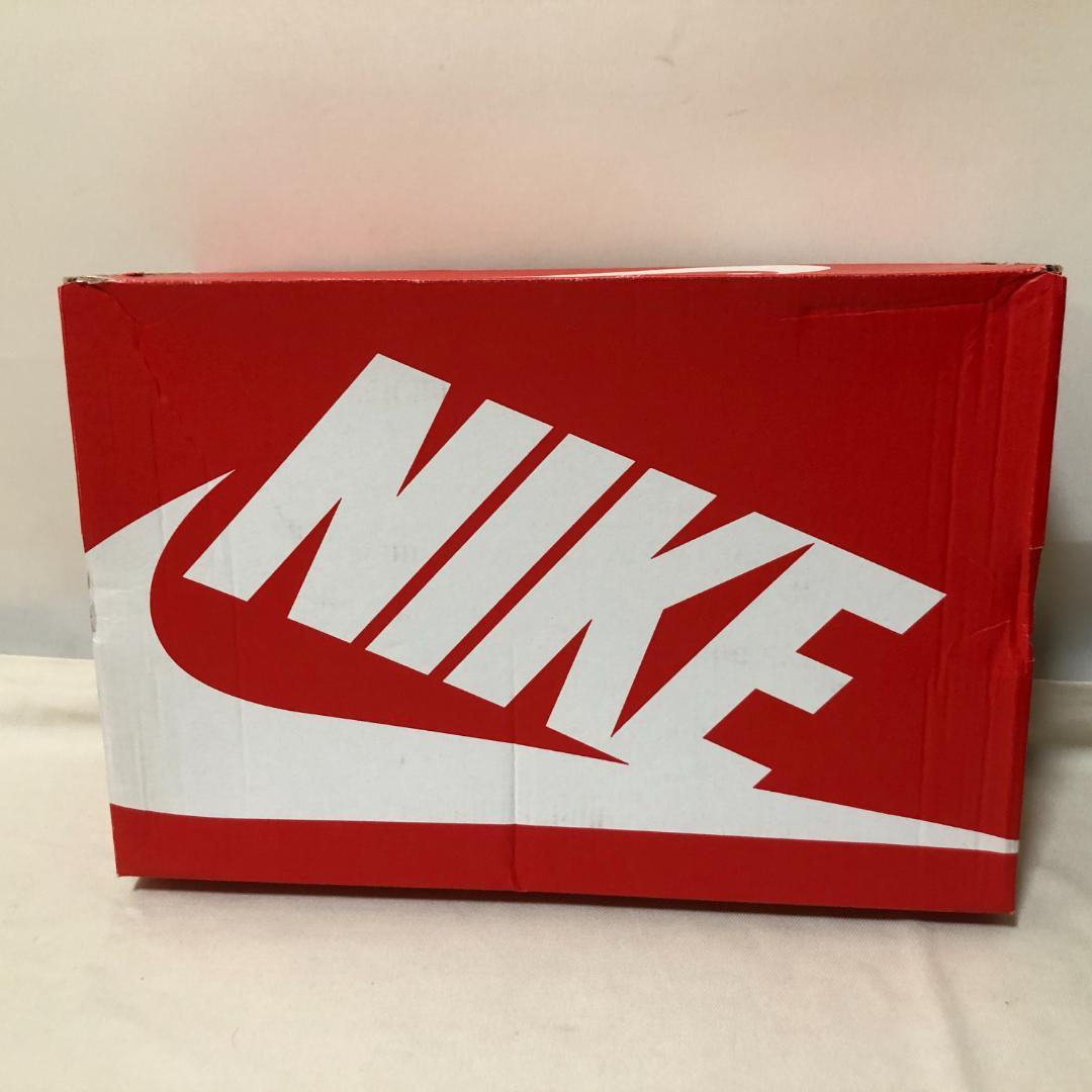 美品　NIKE TERMINATOR HIGH ETOWN　E181