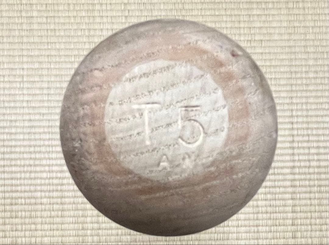【本物】新庄剛志 折れたバット