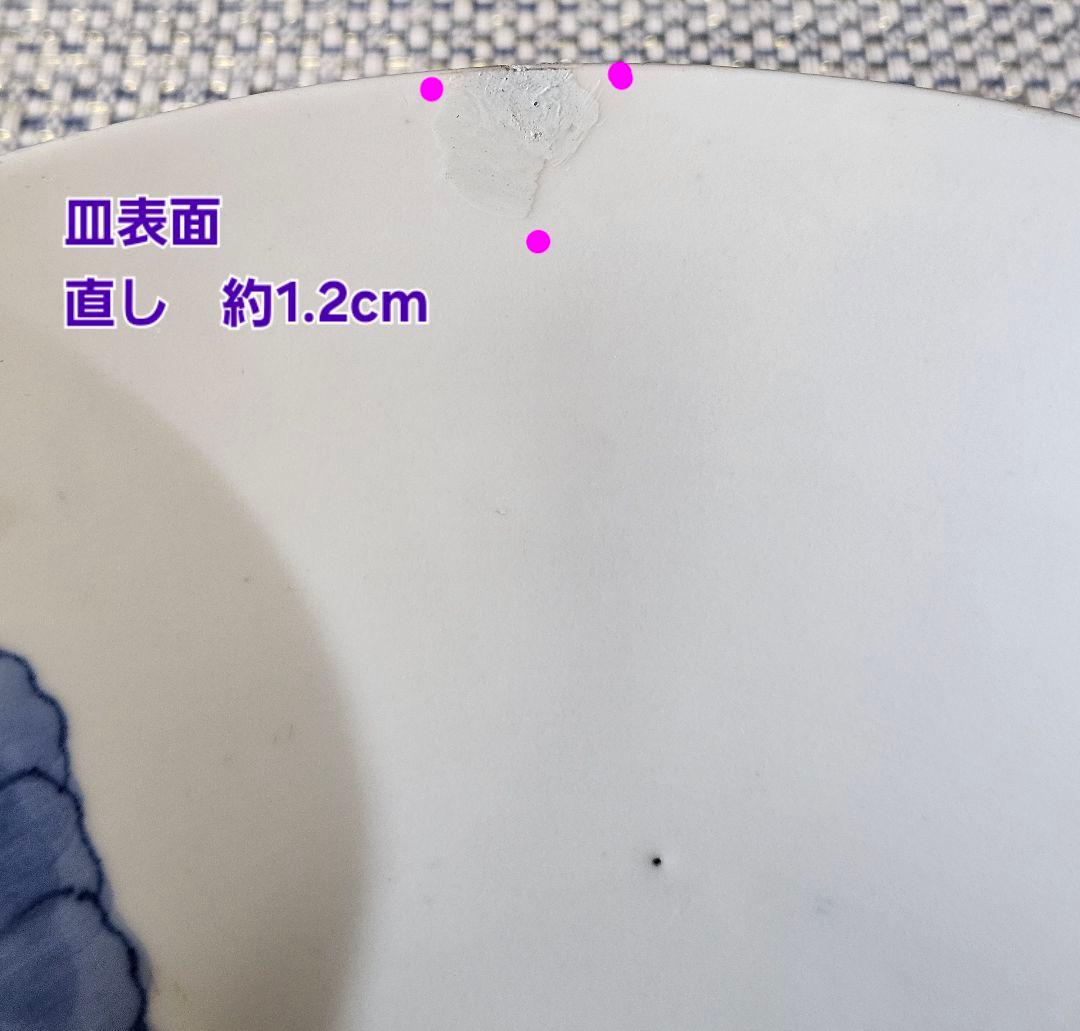 江戸時代後期　後期藍鍋島　芙蓉文様 櫛高台皿　径 約20.8cm