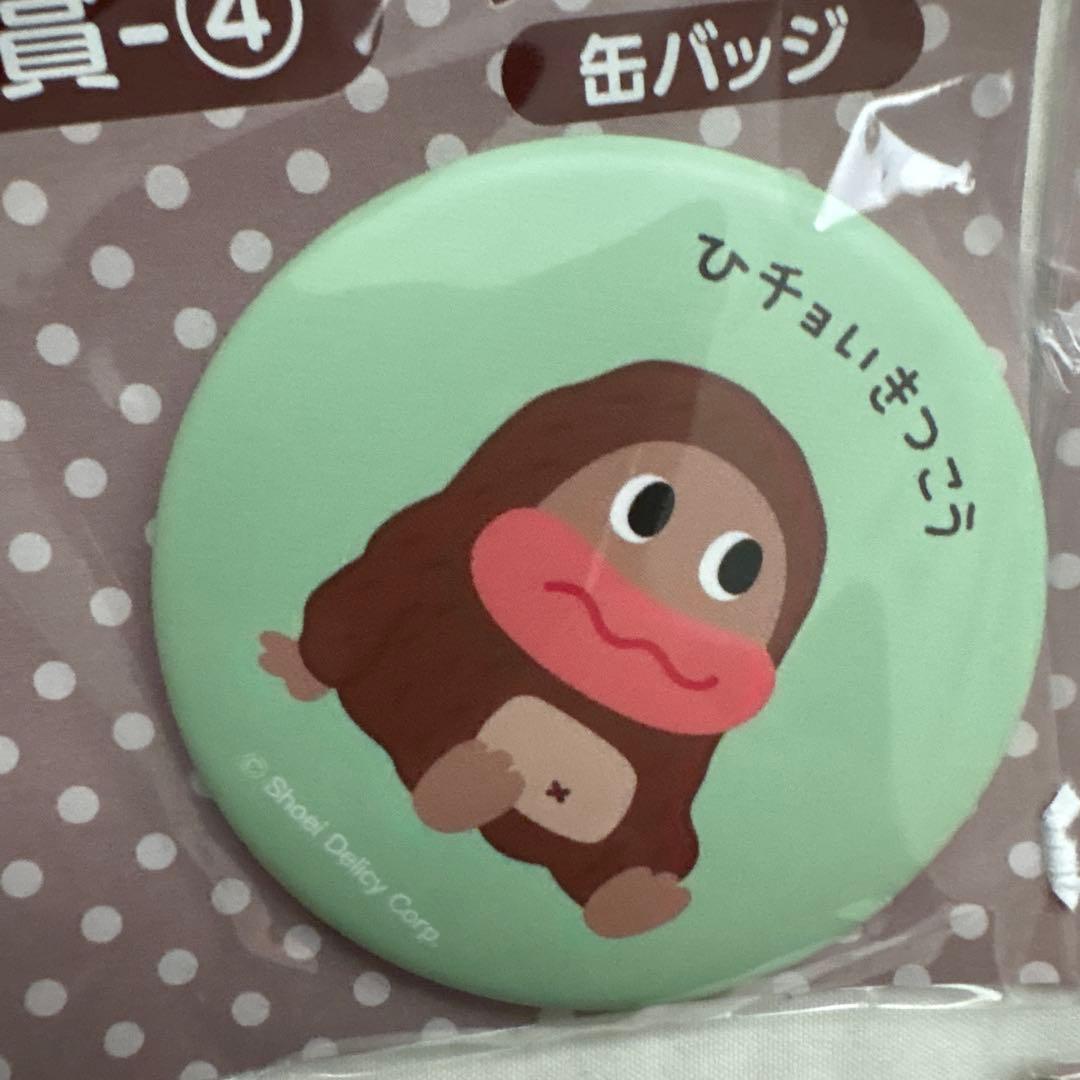サク山チョコ次郎くじ　F賞缶バッジ　コンプリート19個セット