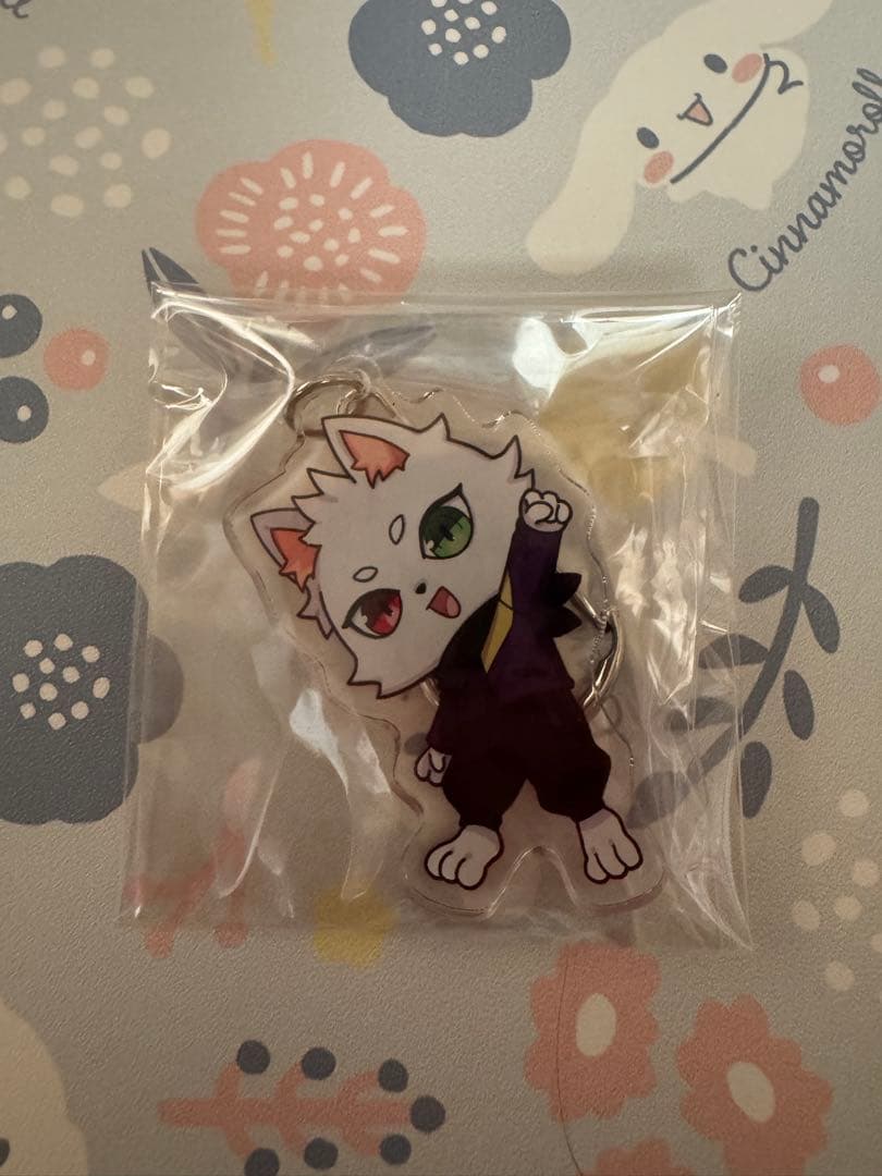Crazy Raccoon Ras まとめ売り
