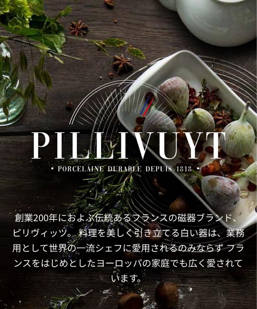 【レア品】PILLIVUYT 四角形皿　大皿　2枚セット