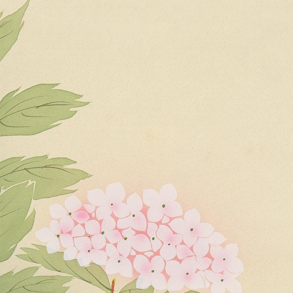 掛軸 日本画 山本錦緑「紫陽花」共箱