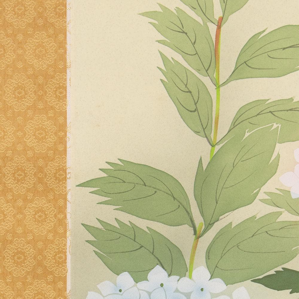 掛軸 日本画 山本錦緑「紫陽花」共箱