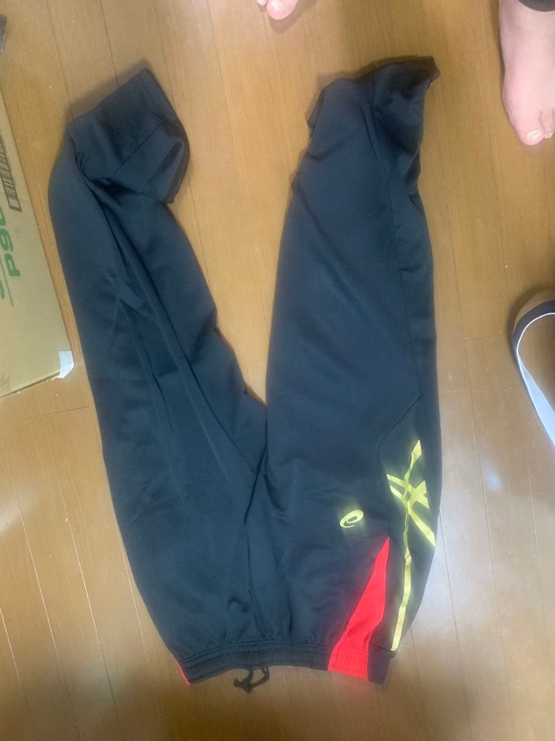 【あ】バレーボール日本代表ジャージ上下