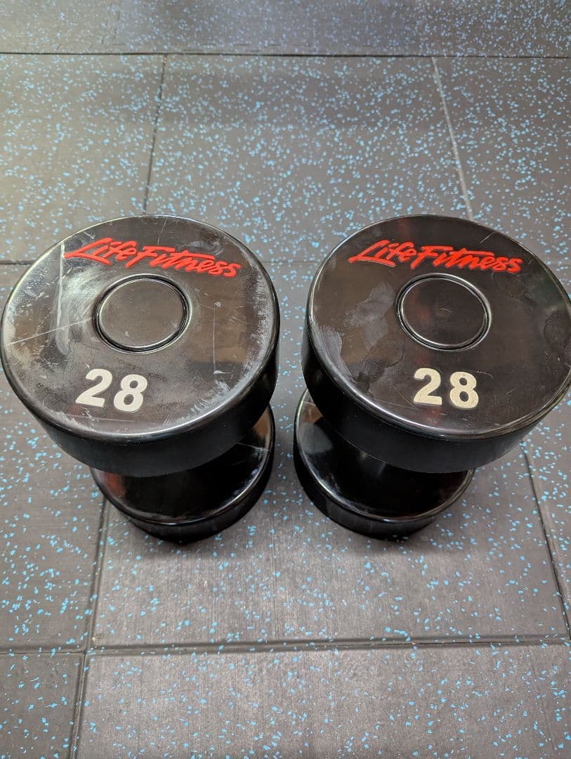 Life Fitness　ライフフィットネス　ウレタンダンベル　28kg　1個