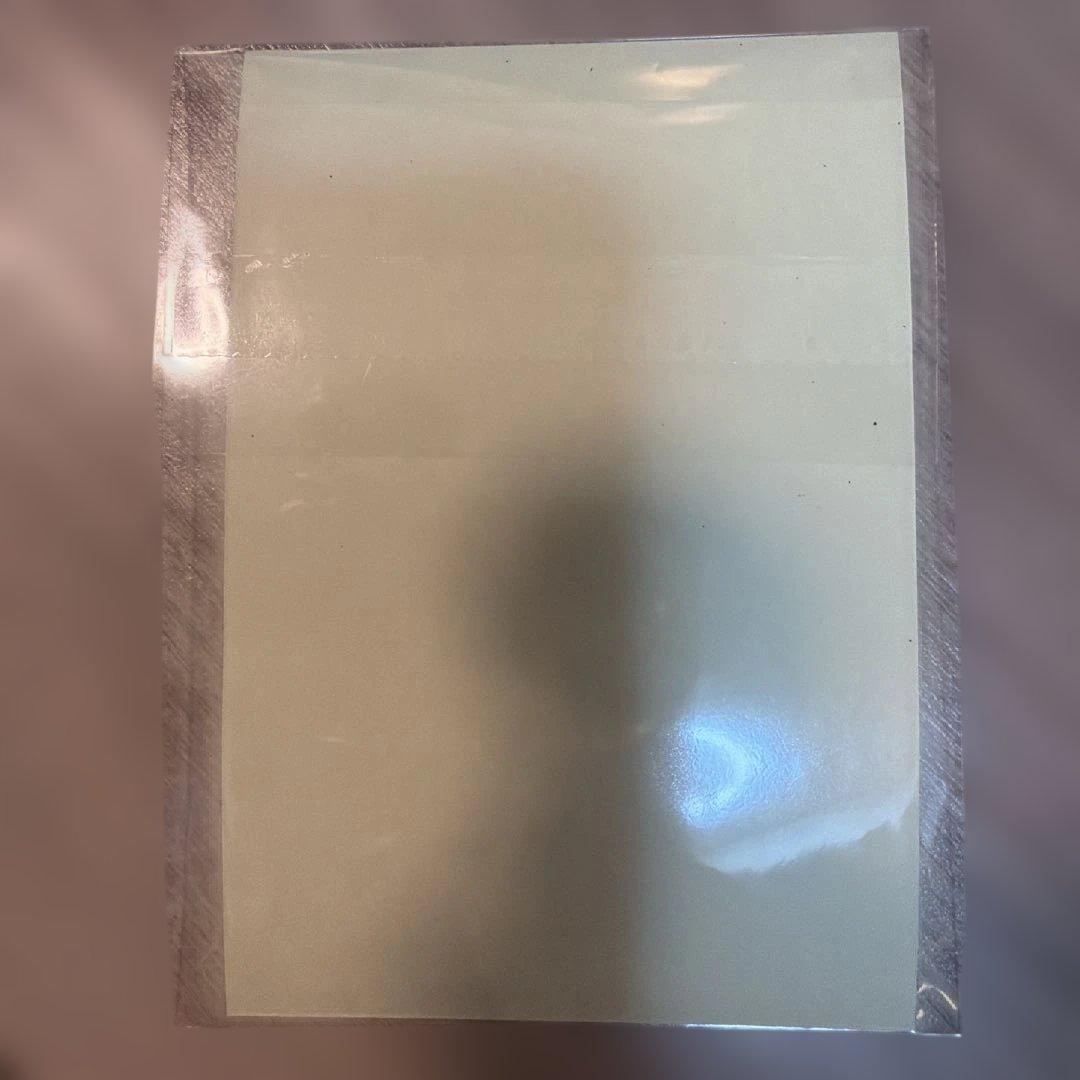 チョッパー 実写 クリアファイルとステッカー