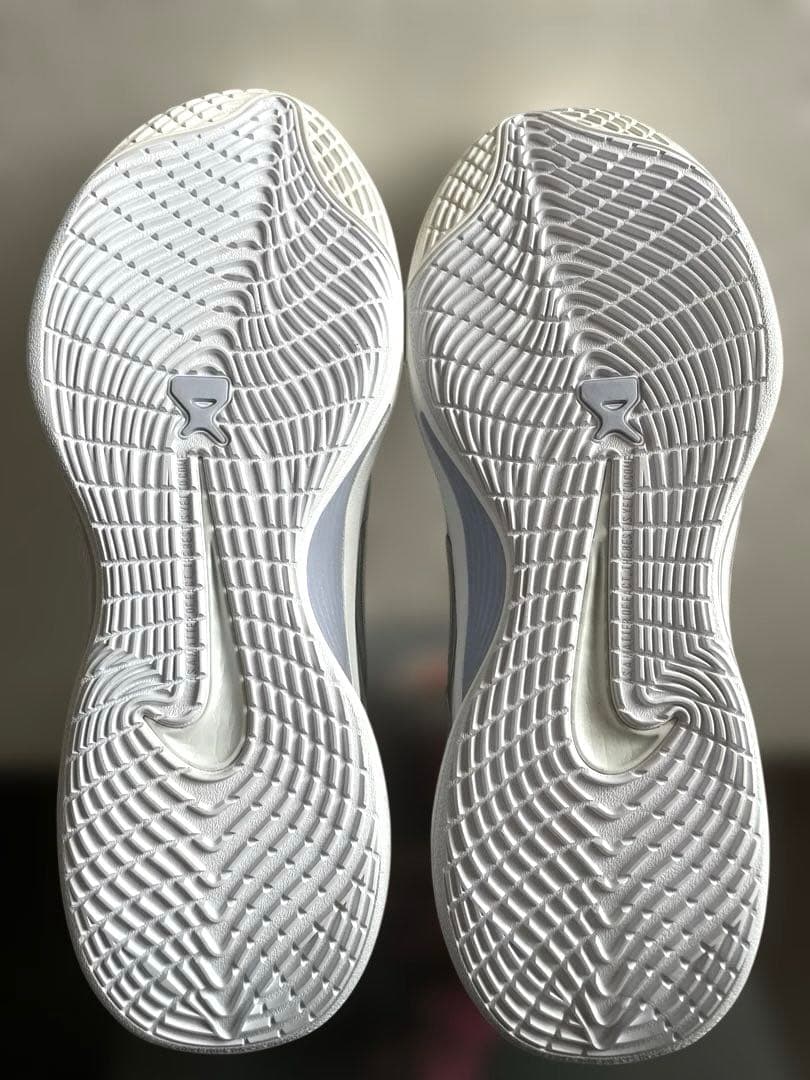 NIKE A‘ja Wilson A’One EP 29.5cm