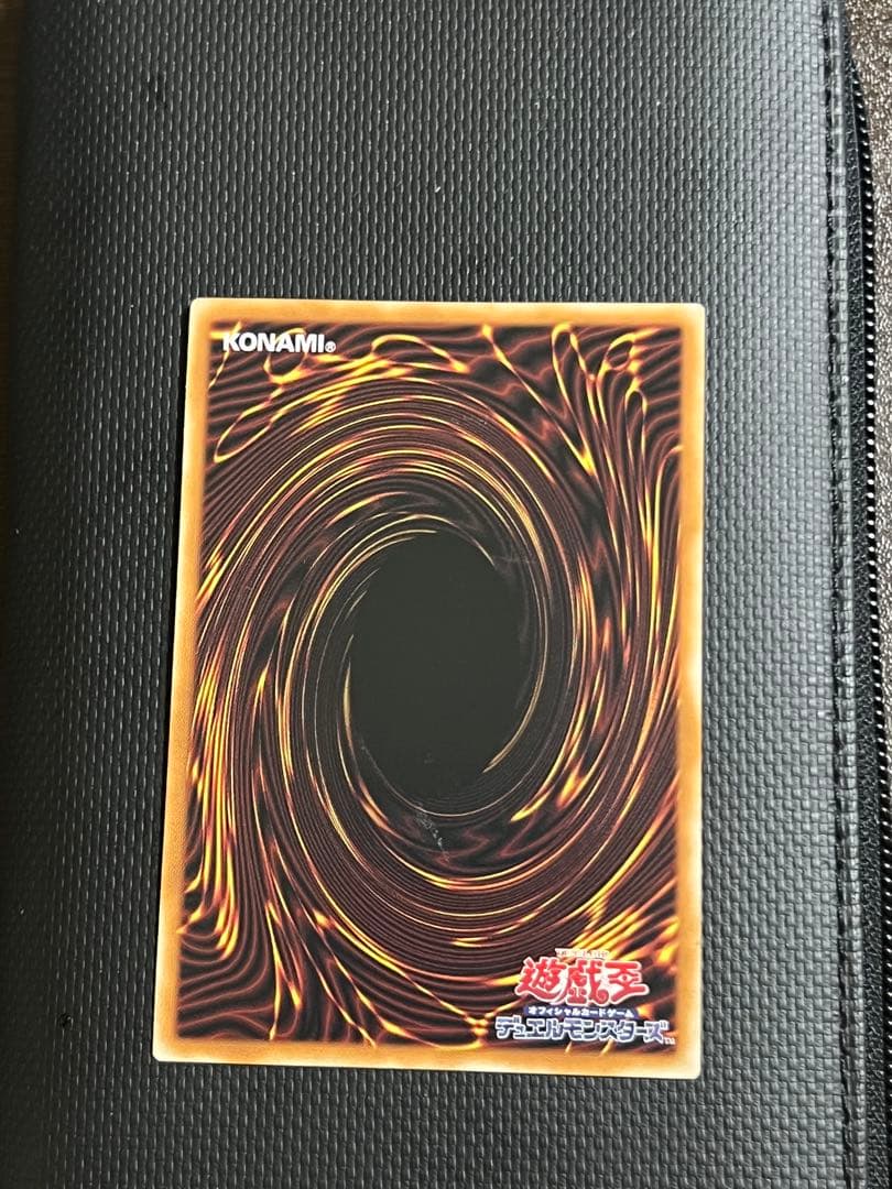 真紅眼の黒竜 & ダーク・ドラゴン セット