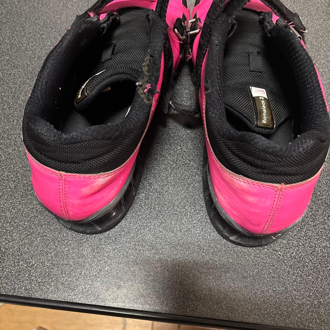 Nike ロマレオス2 Romaleos2